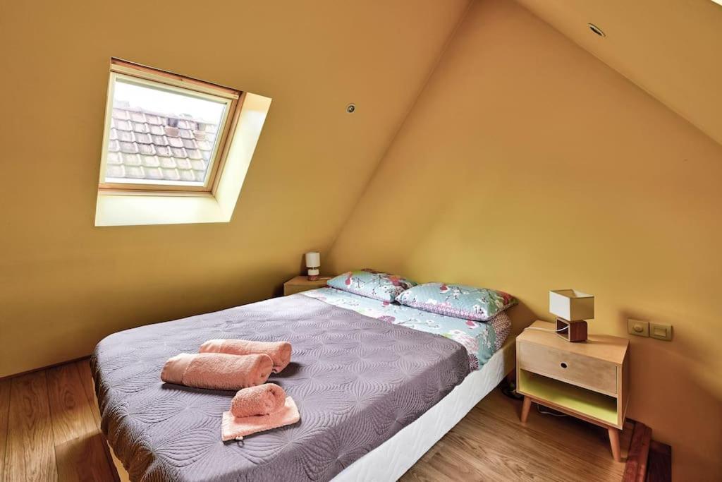 Maison De Ville Spacieuse Et Calme En Plein Coeur D'Amiens Kültér fotó